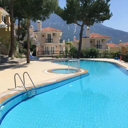 Artemisia * Ölüdeniz