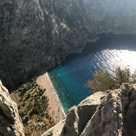 Artemisia * Ölüdeniz