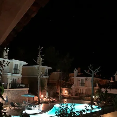 Artemisia * Ölüdeniz